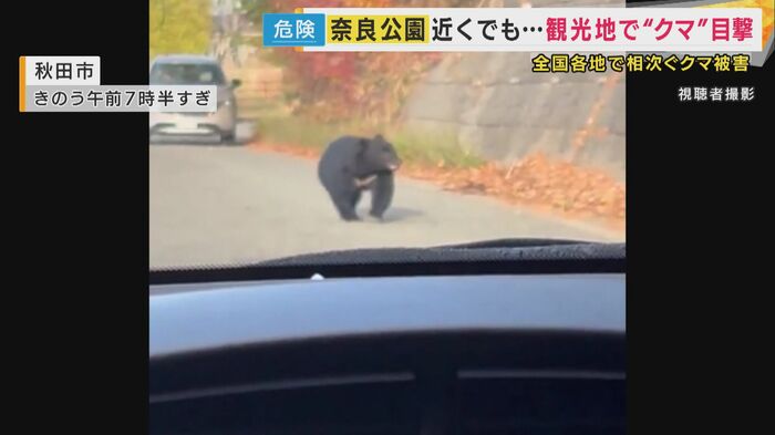 16日、秋田市の住宅街の道路で撮影されたクマ