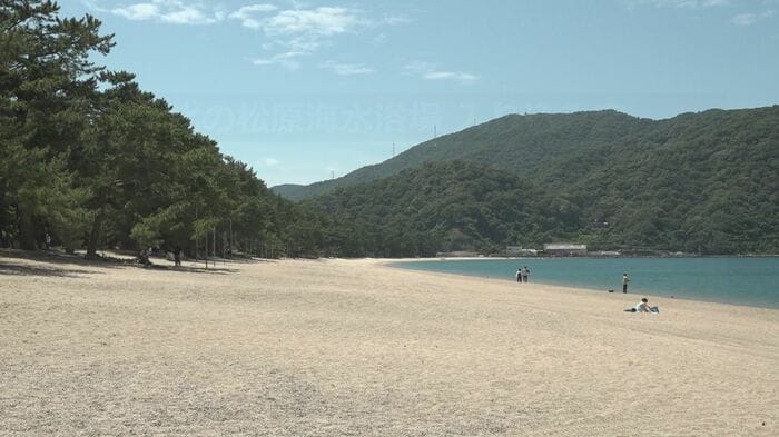 “夏は海水浴”というイメージは薄れつつある