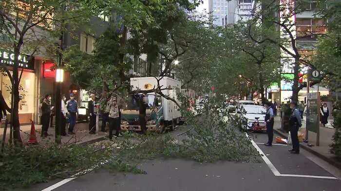 人や車が行き交うビル街で、突然の倒木(東京・中央区 19日)