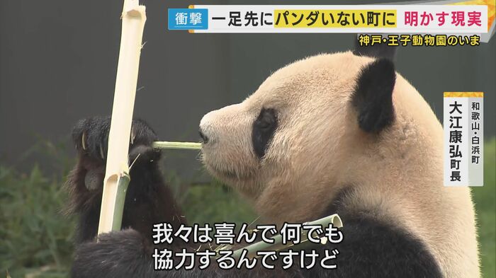街からパンダがいなくなると…
