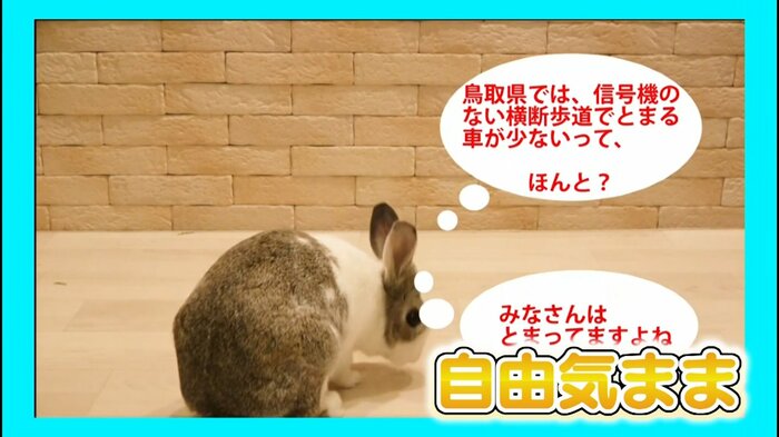 鳥取県警が作った一時停止呼びかける動画