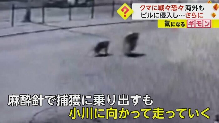 (IHA)
