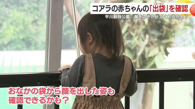 お顔が見えるかな?