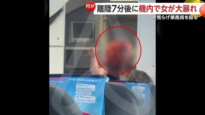 次第にヒートアップし乗務員に殴りかかる女