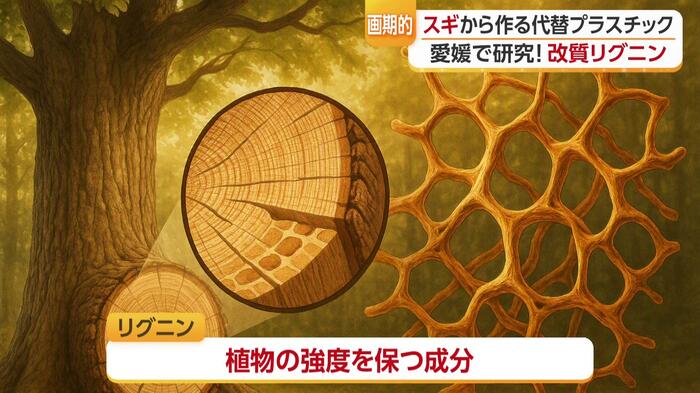 それが「改質リグニン」