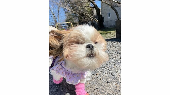 公園が大好き