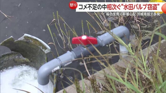 プラスチック製のバルブ
