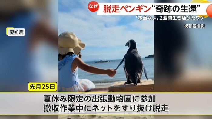 イベント後に脱走した「ペン」