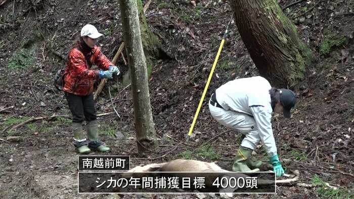南越前町のガバメントハンター2人