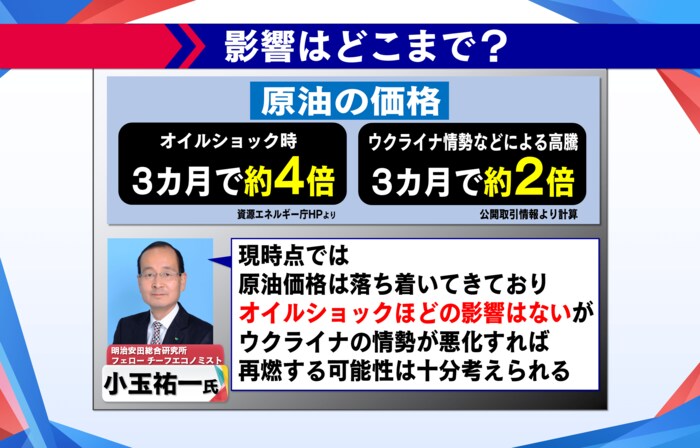 ウクライナ情勢などの影響