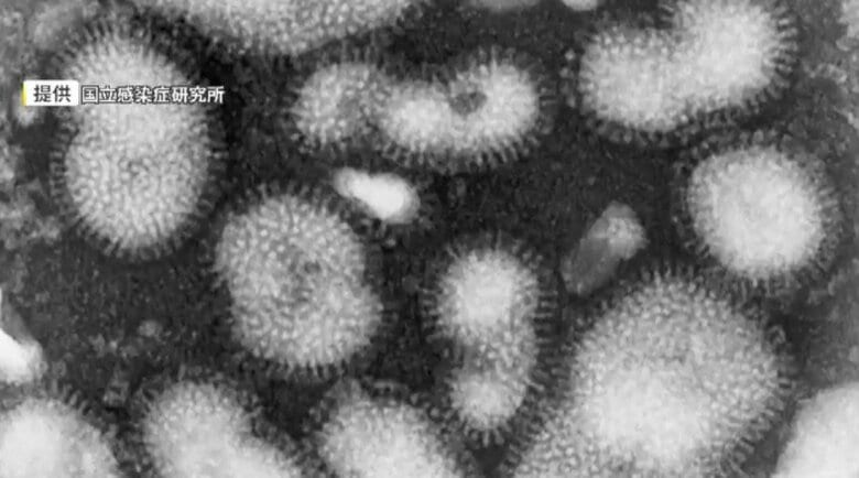 インフル猛威　変異株サブクレードKやインバウンド増加が要因　「厳しい寒さが何度も訪れれば流行はまだまだ続く」　福岡市医師会が注意呼びかけ｜FNNプライムオンライン