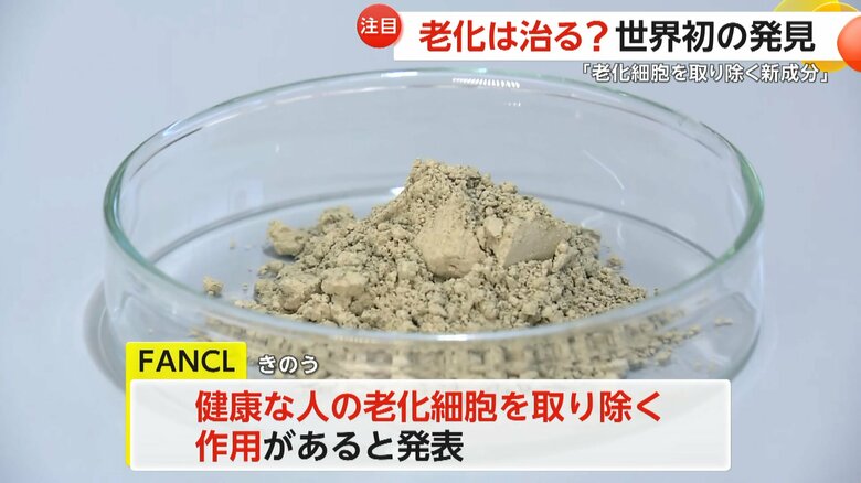 「老化は治る？」ファンケルが世界初“老化細胞取り除く新成分”発見　健康寿命の増進へ…サプリメントとして今春発売予定｜FNNプライムオンライン