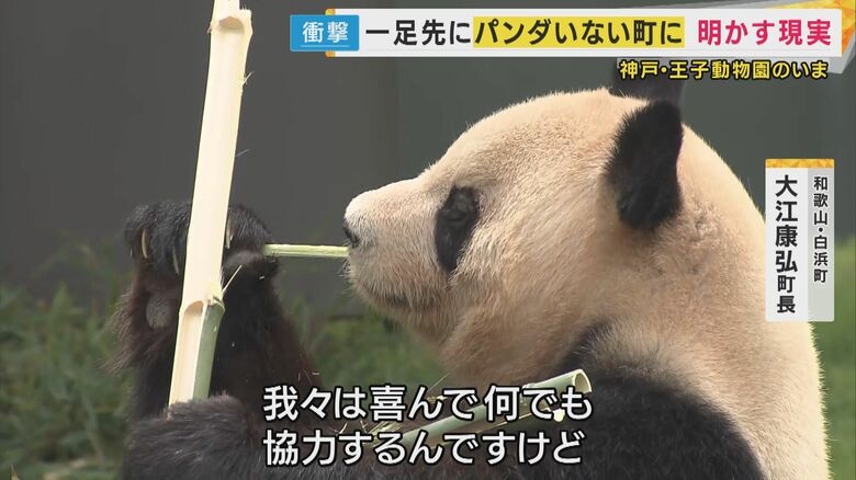 「パンダいなくなったら」パネル置く動物園も　地元経済大きな影響　貸与は中国次第『対立』でもアメリカに｜FNNプライムオンライン
