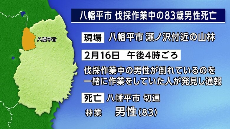 伐採作業中の83歳男性死亡　八幡平市の山林　岩手県｜FNNプライムオンライン