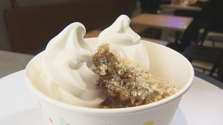 見た目はバニラでも低カロリー…韓国から日本に上陸したフローズンヨーグルト専門店 46種類の多彩なトッピングも｜FNNプライムオンライン