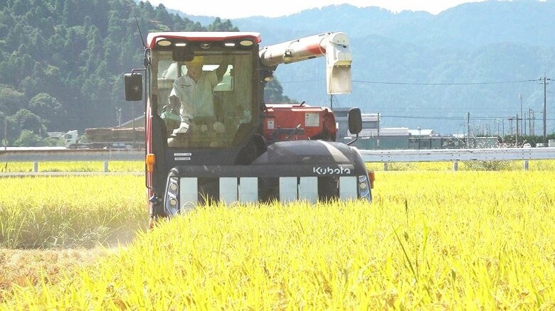 福井県産米の主力「コシヒカリ」収穫始まる　福井市の農家は…収穫量は例年並みも「高温の影響」を心配　　｜FNNプライムオンライン