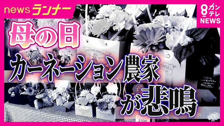 「母の日」定番カーネーションに「異変」燃料費の高騰で仕入れ価格2割ほど高く…デパートでは「組み合わせを楽しむ」商品も　多様化する母の日プレゼント事情｜FNNプライムオンライン