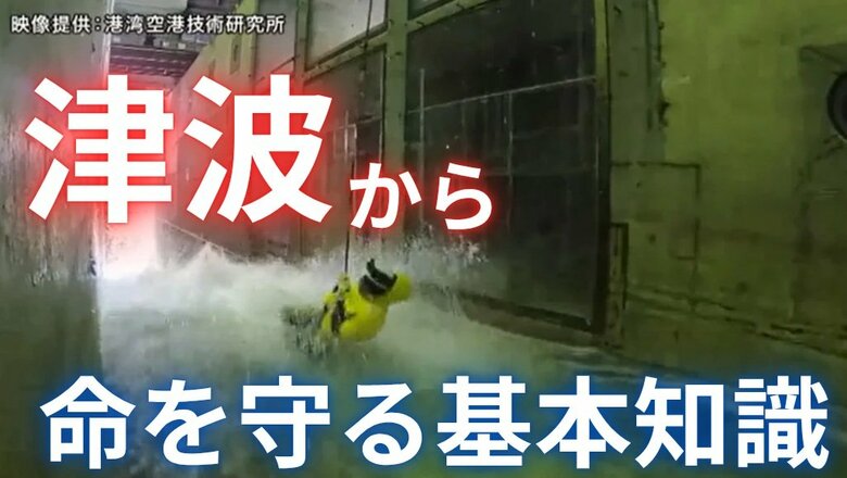 津波から命を守る基本の知識 揺れを感じない「遠地津波」の特徴は？ 数十センチの高さでも命の危険 「巨大」「欠測」などの津波に関する用語も解説｜FNNプライムオンライン
