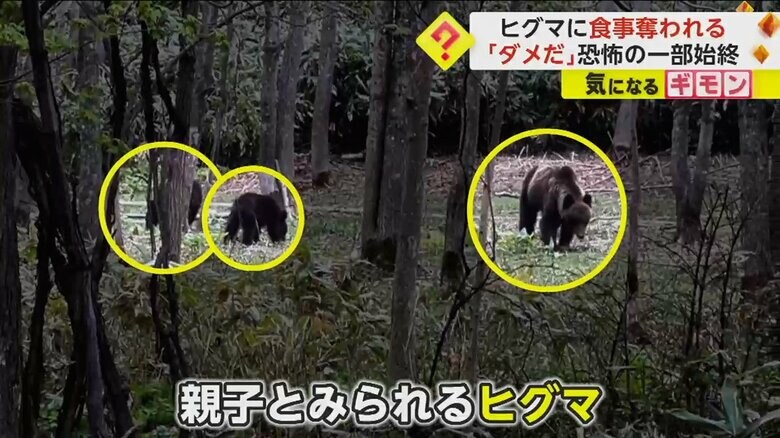 （FNN投稿サイト「ビデオPost」葉田ルコHadaRuko）