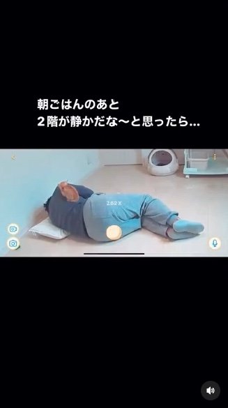 提供：oimo & yuzukiさん