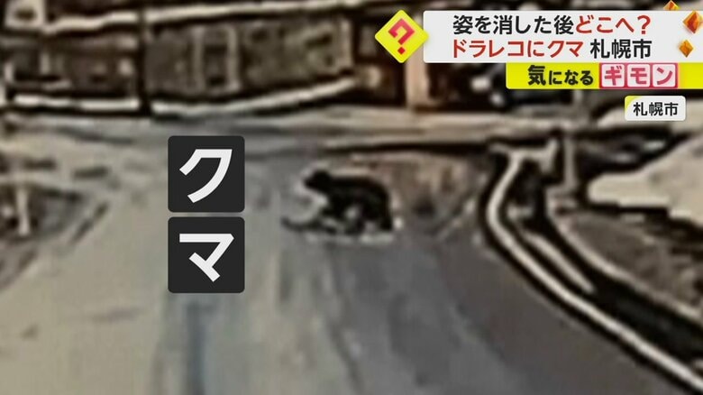 道路を見える影はクマ（視聴者撮影）