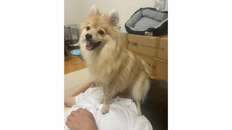 実は以前にも同じことが…（2022年9月撮影）