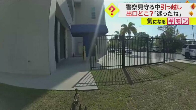 警察官に見守られて公園の池を目指すカモの親子の引っ越しシーン一連画像④