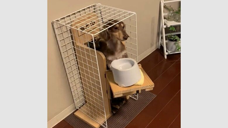 立った状態ですっぽりと収まったのだ