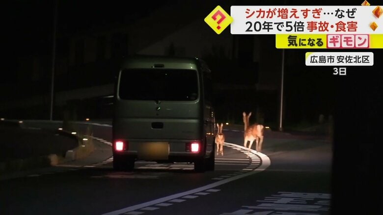 3日の映像。シカに道をふさがれ止まる車