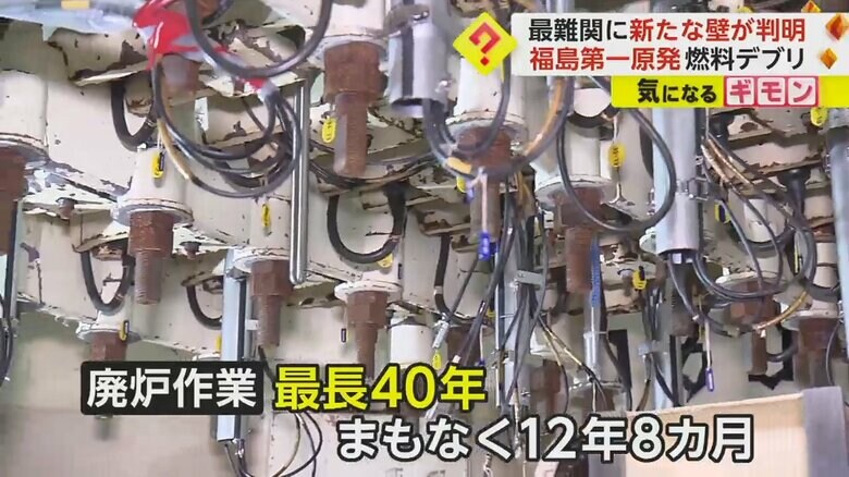 5号機の原子炉格納容器内