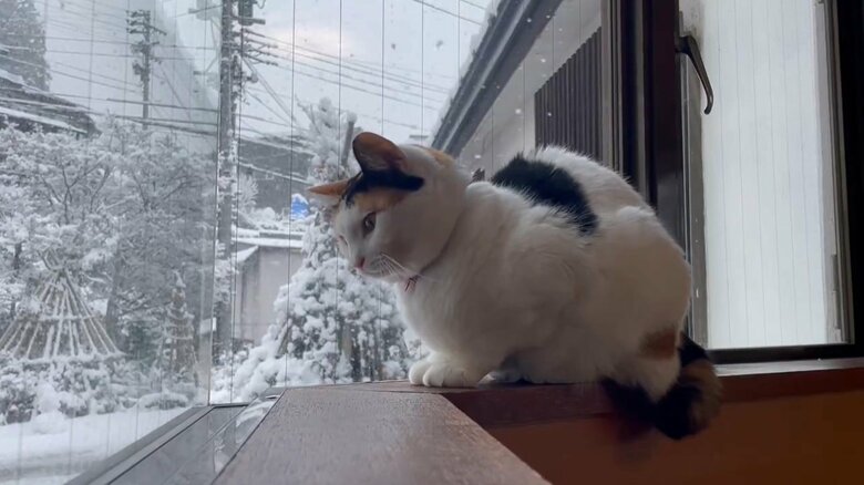 雪景色との一枚