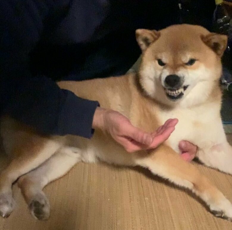 “ムキ顔”もしちゃう銀次くん