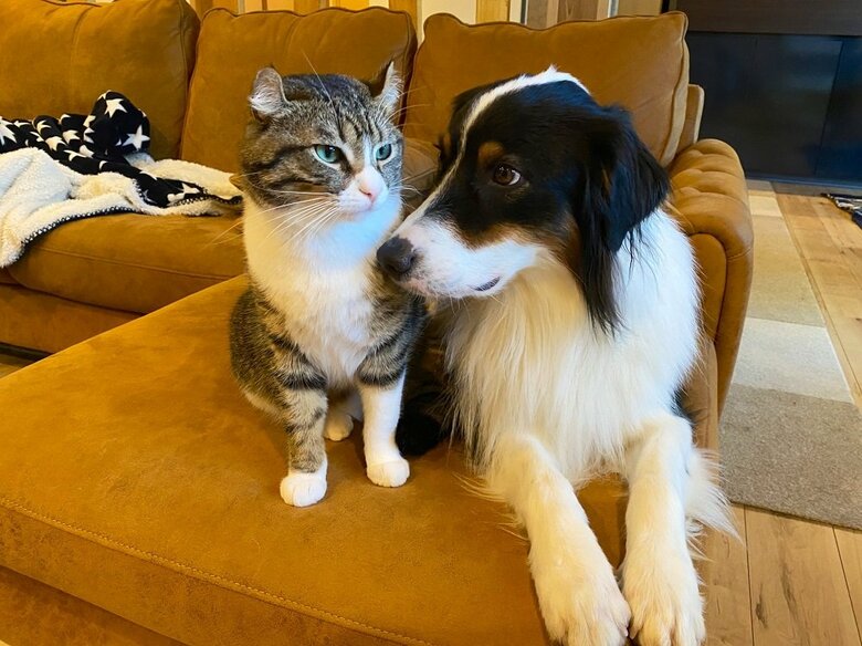 カイルくんとキウイくんは仲良し