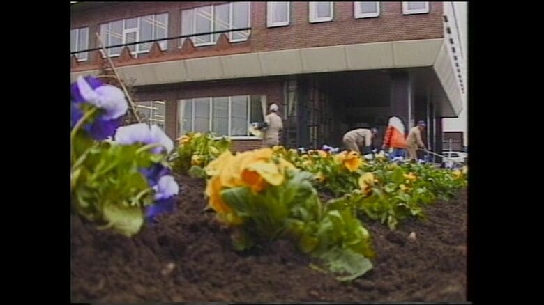 旧庁舎での花壇の植え替え作業の様子（1984年）