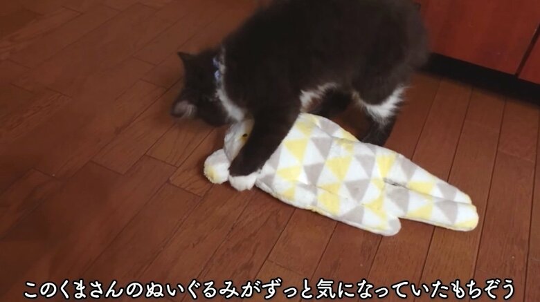 提供：もちぞう ですが。さん