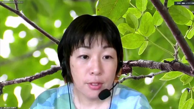 外来カミキリバスターズで樹木医の安齋由香理さん