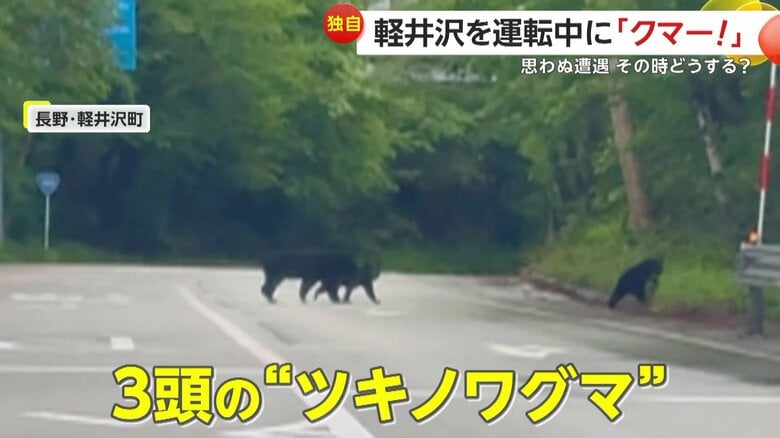 運転中の親子の前に出没した3頭のツキノワグマ（10日午後6時半頃、長野・軽井沢町）