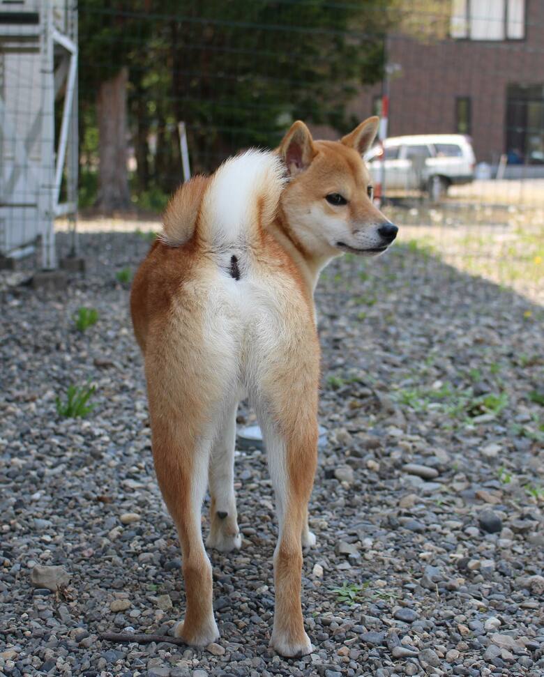 振り向きカメラ目線