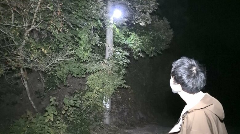 「ギャー！」という不気味な鳴き声が響く