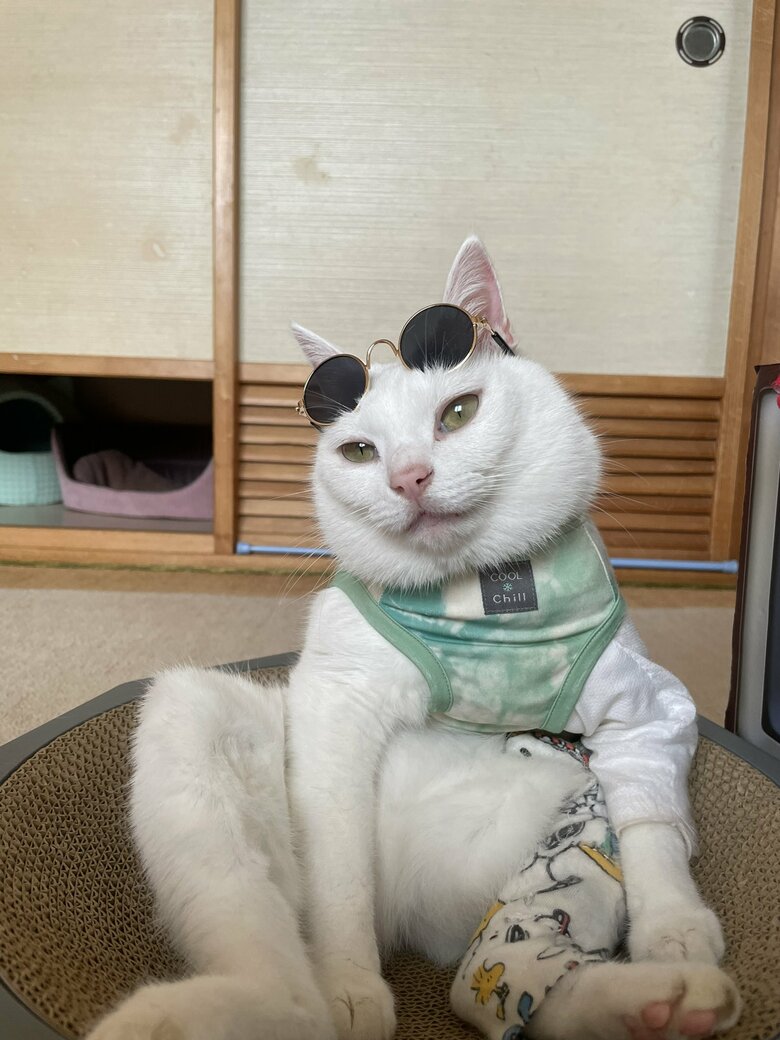 提供：しんばぷーさん