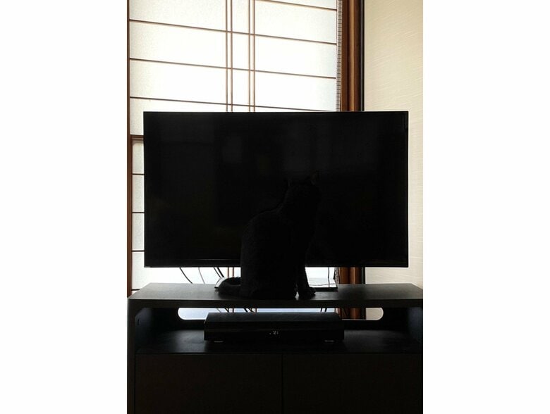 提供：マクーさん