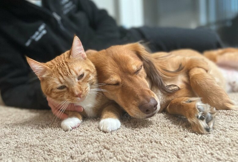 提供：和泉ユタカさん