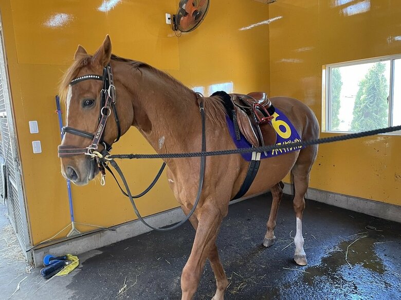 アドマイヤジャパン