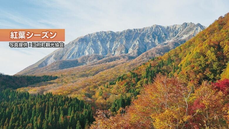 例年鮮やかに彩られる鍵掛峠からの景色