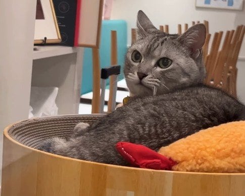 店内でまったり中