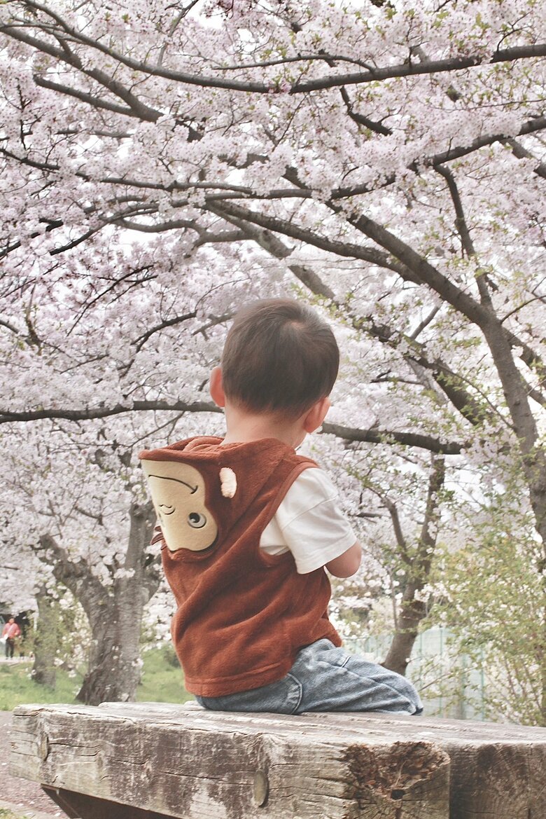 提供：エディさん