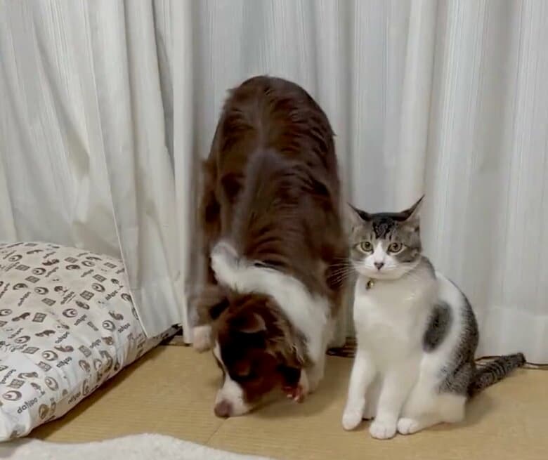 提供：ゆに＆メッシさん