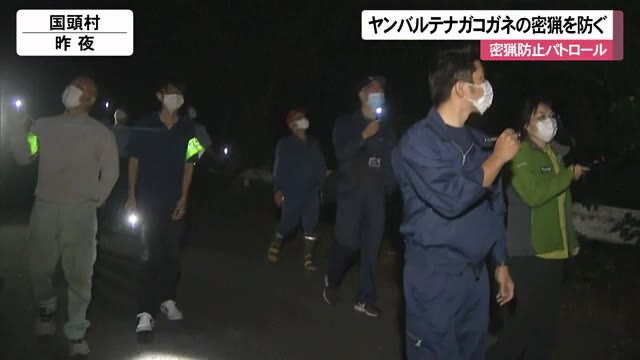 密猟NO! やんばる林道パトロール