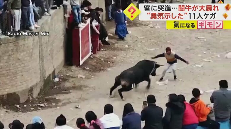 一騎打ちを挑んだ男性が、牛に突進される瞬間②
