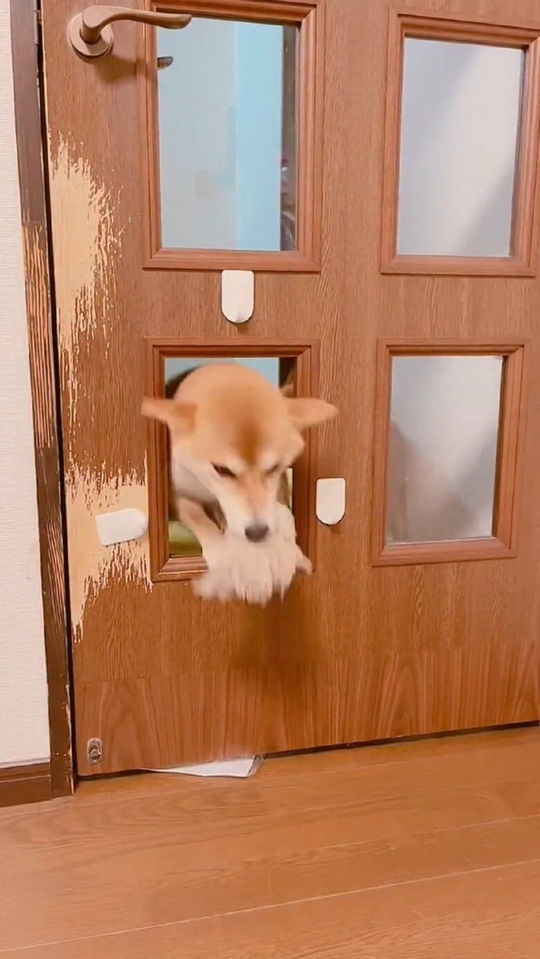 そして、3度目の通過